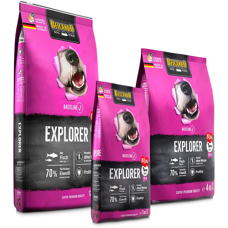 Explorer  (1kg)