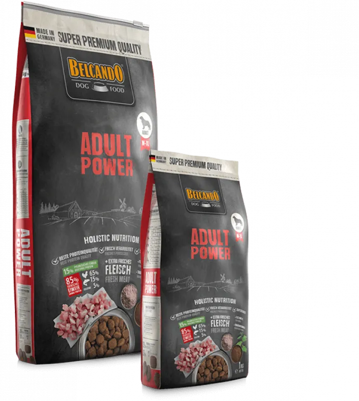 Adult Power