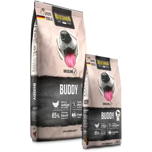Buddy 