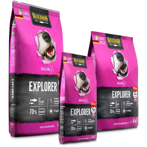 Explorer 