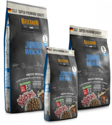 Junior Maxi